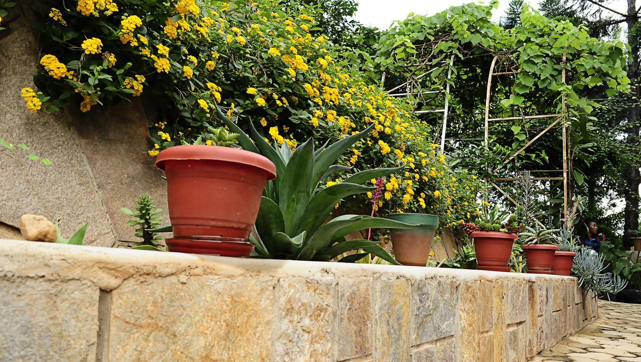 Bed and Breakfast The Shoebill Nest à Kampala Extérieur photo